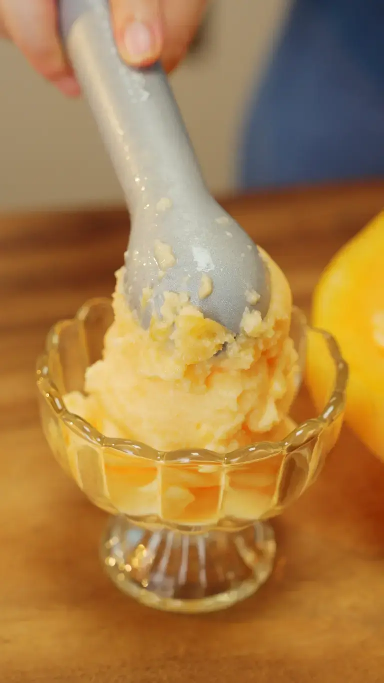 Fruit Sherbet Recipe