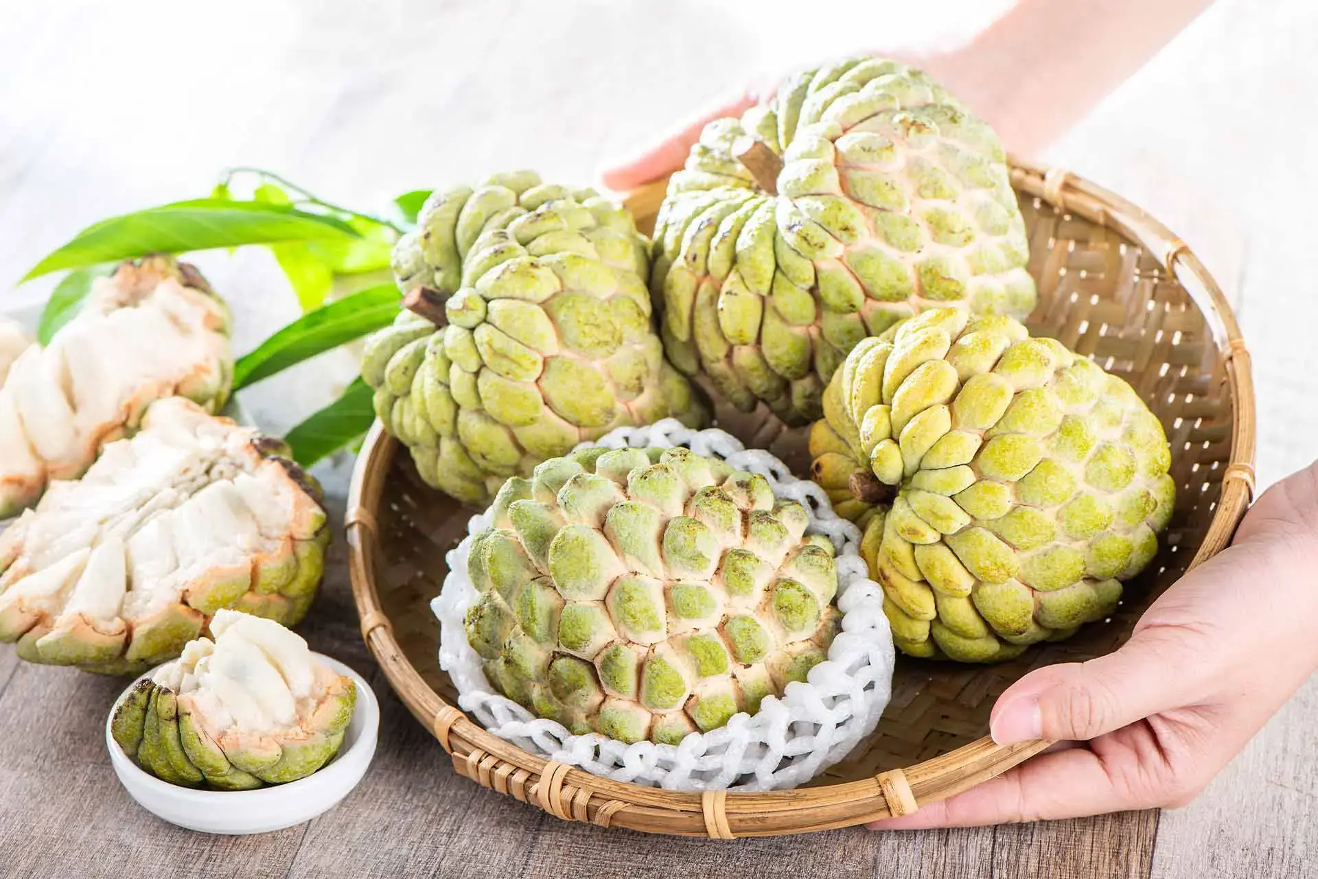 A Taste of Atis