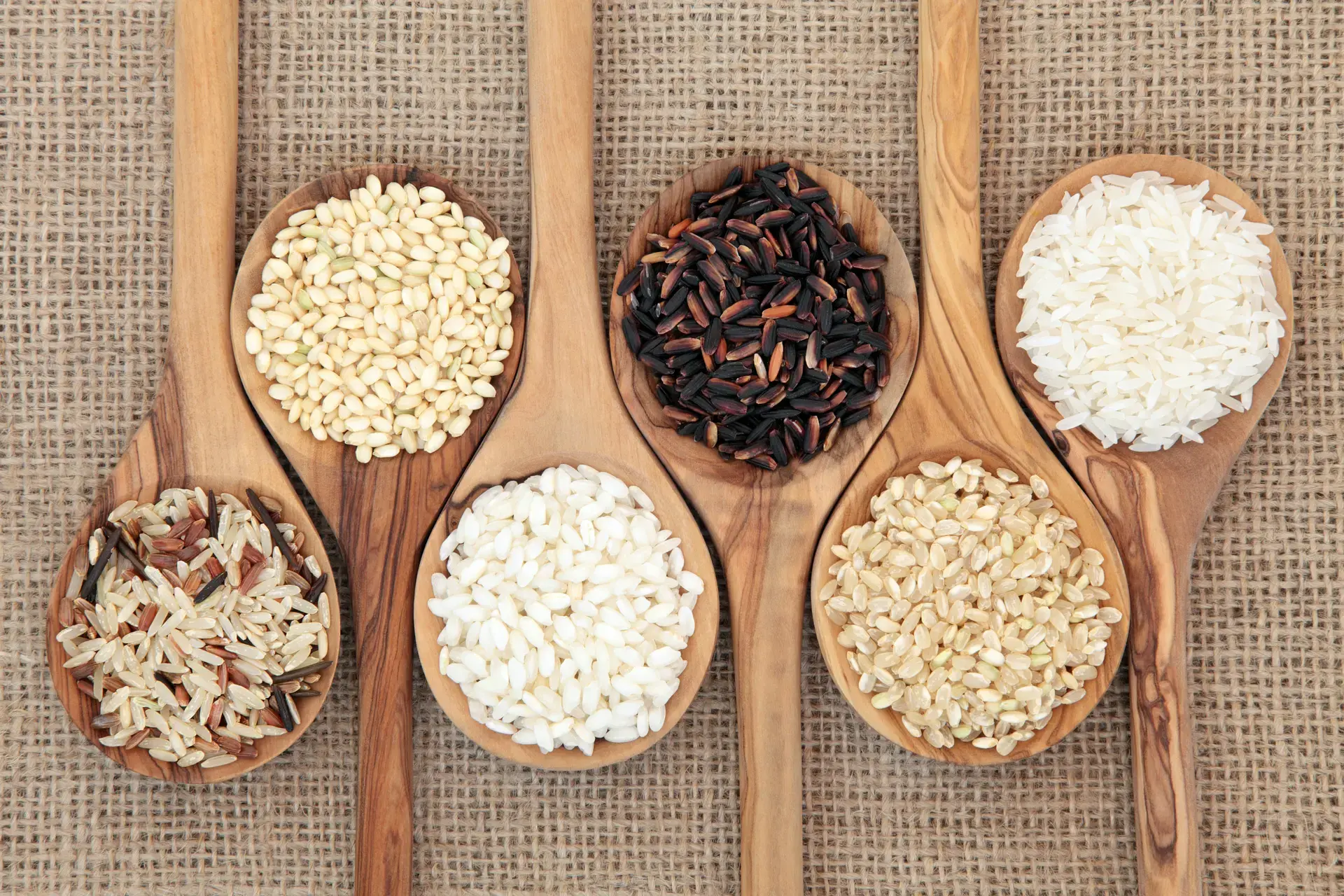 rice-and-shine-explore-filipino-grain-delights