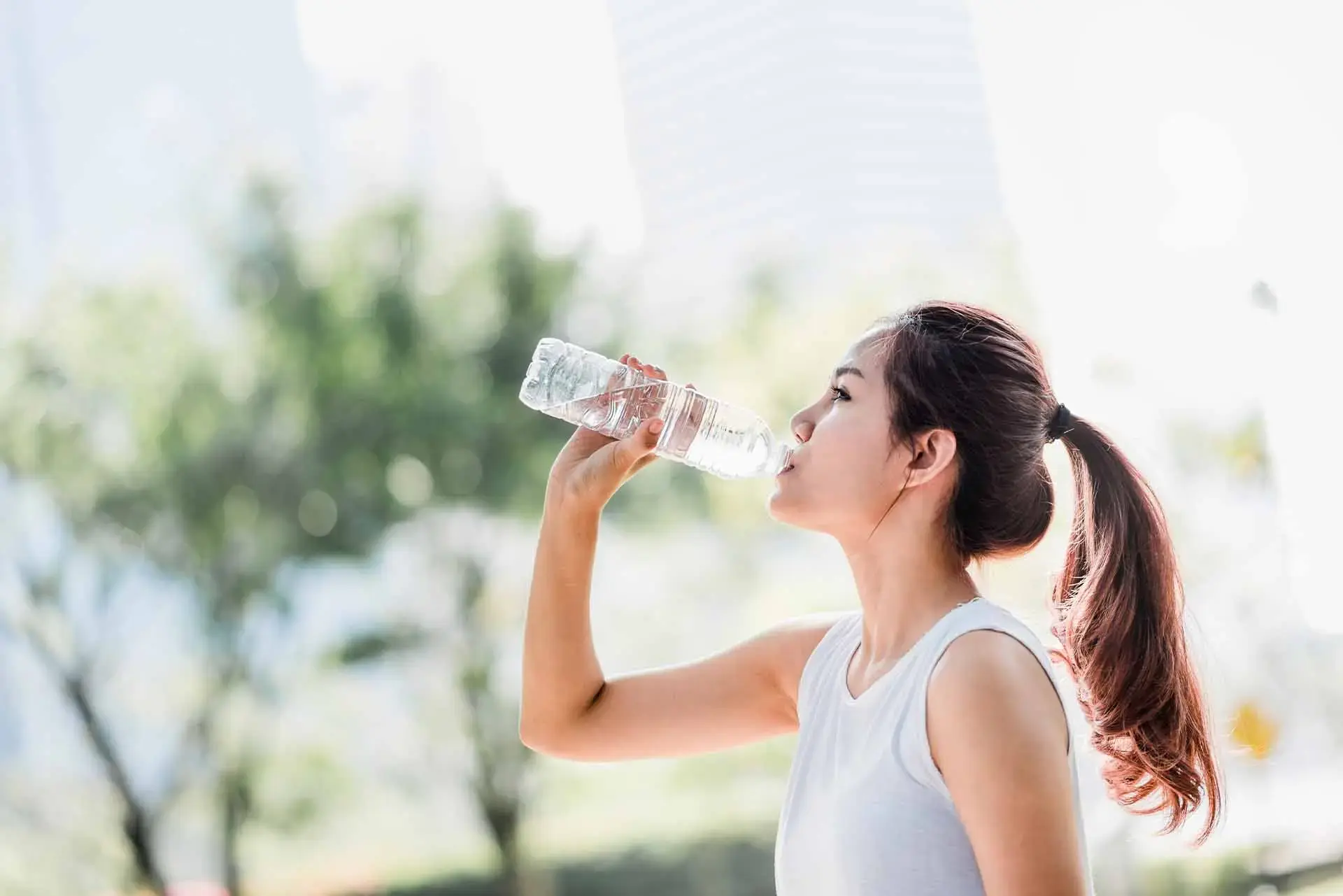 Sip, Sip, Hooray!